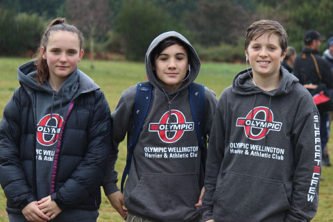 Hoodies